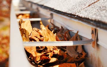 Beck Row gutter cleaning companies
