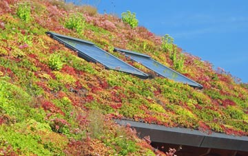 Beck Row living roof systems